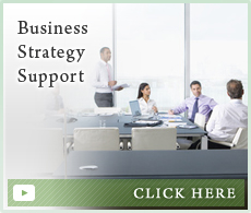 Business Strategy Support