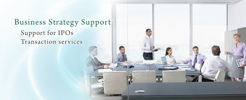 Business Strategy Support Support for IPOs Transaction services